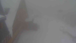 Parkoviště a hlavní vchod