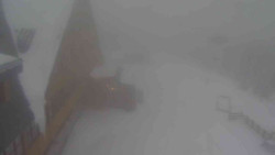 Parkoviště a hlavní vchod