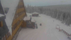 Parkoviště a hlavní vchod