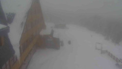 Parkoviště a hlavní vchod