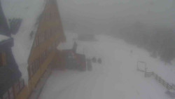 Parkoviště a hlavní vchod