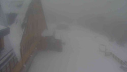 Parkoviště a hlavní vchod