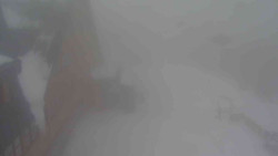 Parkoviště a hlavní vchod