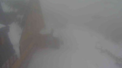 Parkoviště a hlavní vchod