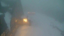 Parkoviště a hlavní vchod