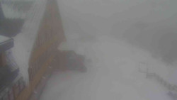 Parkoviště a hlavní vchod