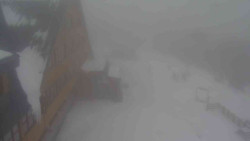 Parkoviště a hlavní vchod