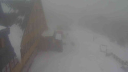 Parkoviště a hlavní vchod