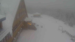 Parkoviště a hlavní vchod