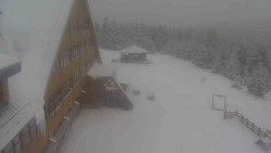 Parkoviště a hlavní vchod