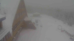 Parkoviště a hlavní vchod