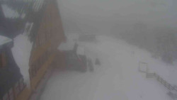 Parkoviště a hlavní vchod