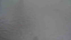 Parkoviště a hlavní vchod