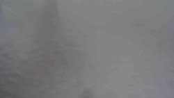 Parkoviště a hlavní vchod