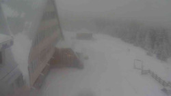 Parkoviště a hlavní vchod