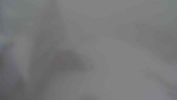 Parkoviště a hlavní vchod