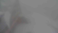 Parkoviště a hlavní vchod