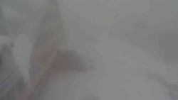 Parkoviště a hlavní vchod