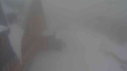 Parkoviště a hlavní vchod