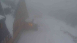 Parkoviště a hlavní vchod