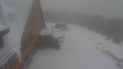 Parkoviště a hlavní vchod