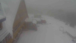 Parkoviště a hlavní vchod