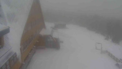 Parkoviště a hlavní vchod