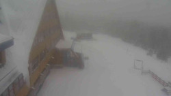 Parkoviště a hlavní vchod