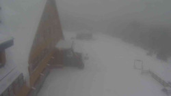 Parkoviště a hlavní vchod