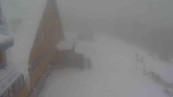 Parkoviště a hlavní vchod