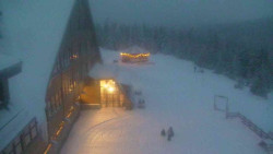 Parkoviště a hlavní vchod