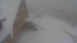 Parkoviště a hlavní vchod