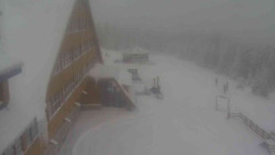 Parkoviště a hlavní vchod