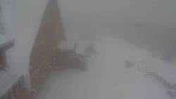 Parkoviště a hlavní vchod