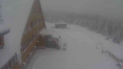 Parkoviště a hlavní vchod