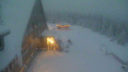 Parkoviště a hlavní vchod