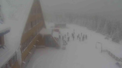 Parkoviště a hlavní vchod