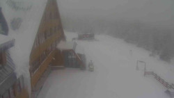 Parkoviště a hlavní vchod