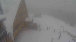 Parkoviště a hlavní vchod