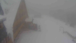 Parkoviště a hlavní vchod