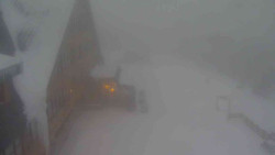 Parkoviště a hlavní vchod