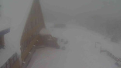 Parkoviště a hlavní vchod