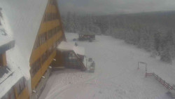 Parkoviště a hlavní vchod