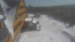 Parkoviště a hlavní vchod