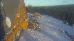 Parkoviště a hlavní vchod