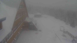 Parkoviště a hlavní vchod