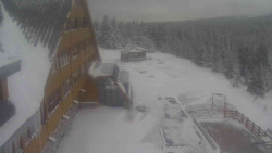 Parkoviště a hlavní vchod