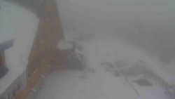 Parkoviště a hlavní vchod