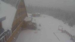 Parkoviště a hlavní vchod