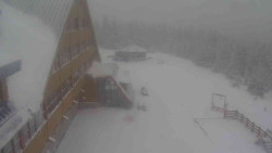 Parkoviště a hlavní vchod